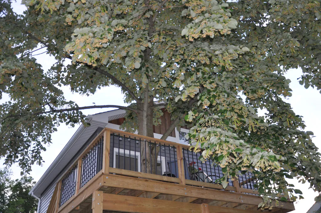South River View Treehouse Deck